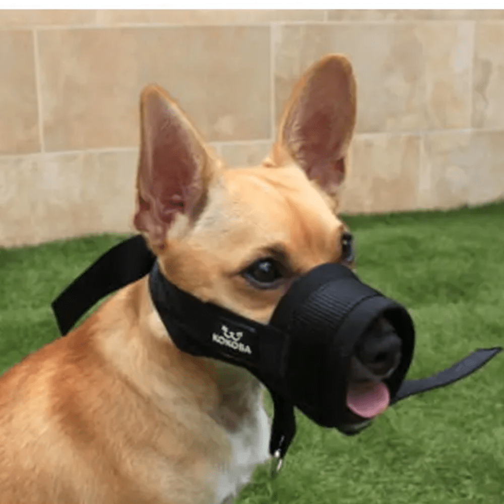 Pull collar hot sale