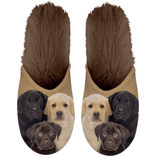 Pantoffels Labradors - Diergigant