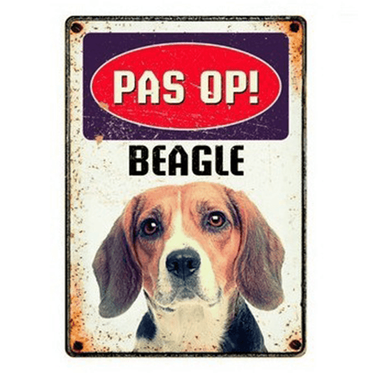 Méfiez-vous des beagles