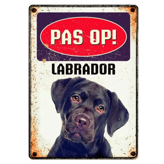 Attention au Labrador