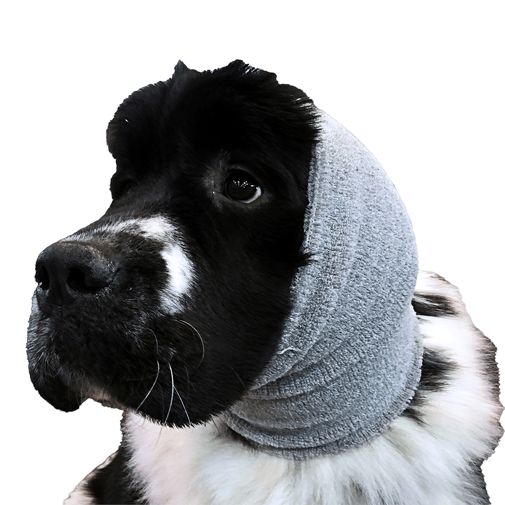 Show Tech - Ear Buddy - Oorbescherming - Grijs - XL