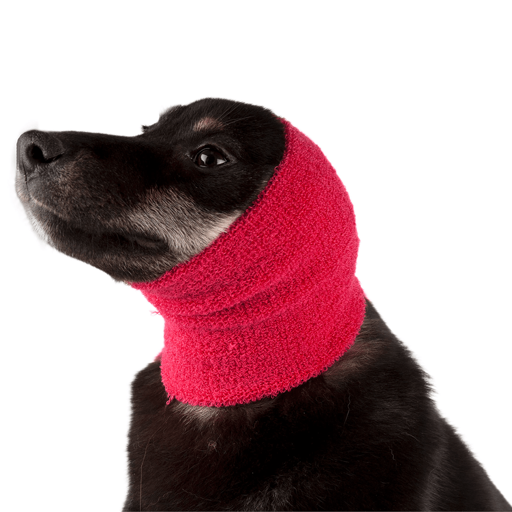 Show Tech Ear Buddy Roze - Diergigant