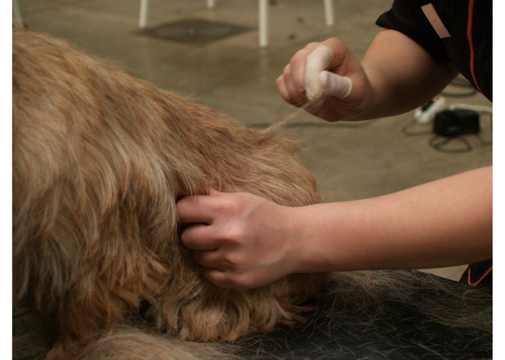 Show Tech Vingerlingen Wit 100 Stuks - Diergigant