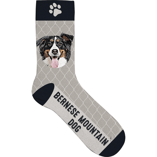 Sokken Bernese Mountain Dog - Diergigant
