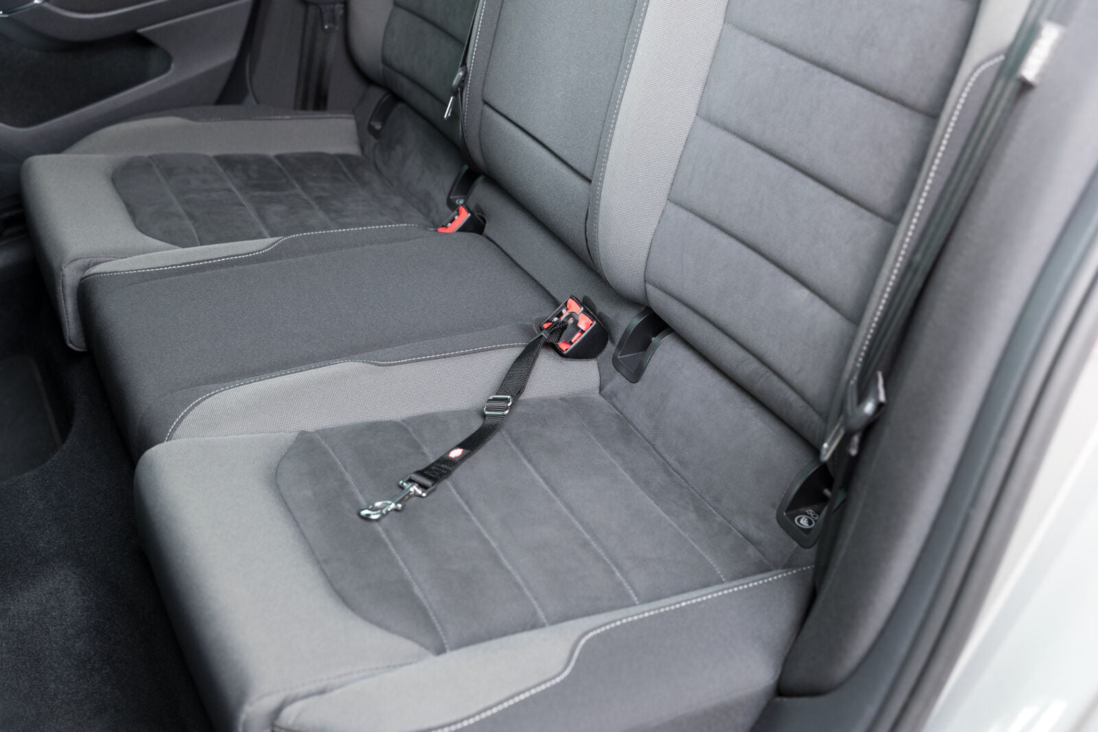 Veiligheidsgordel - Diergigant