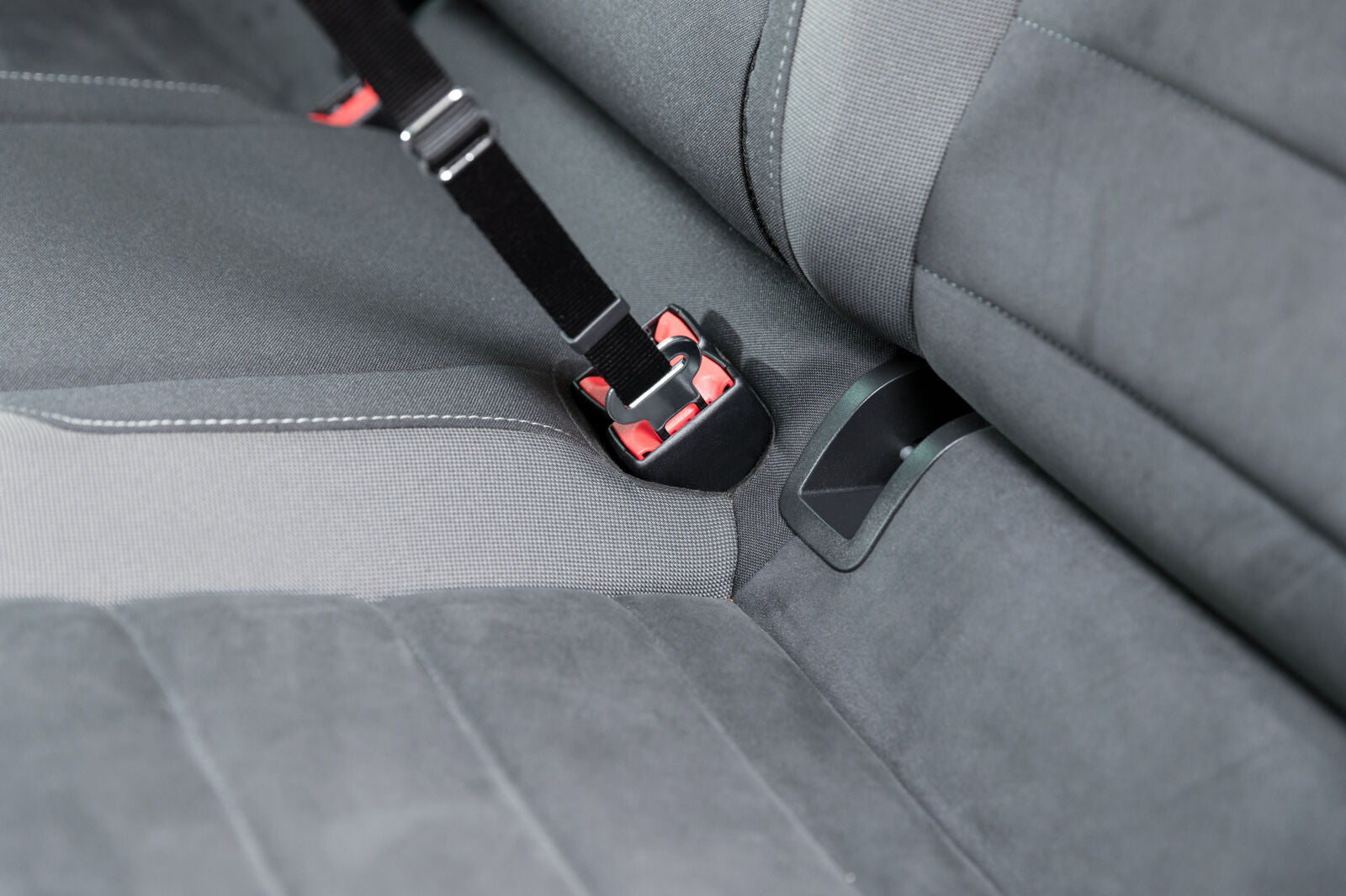 Veiligheidsgordel - Diergigant